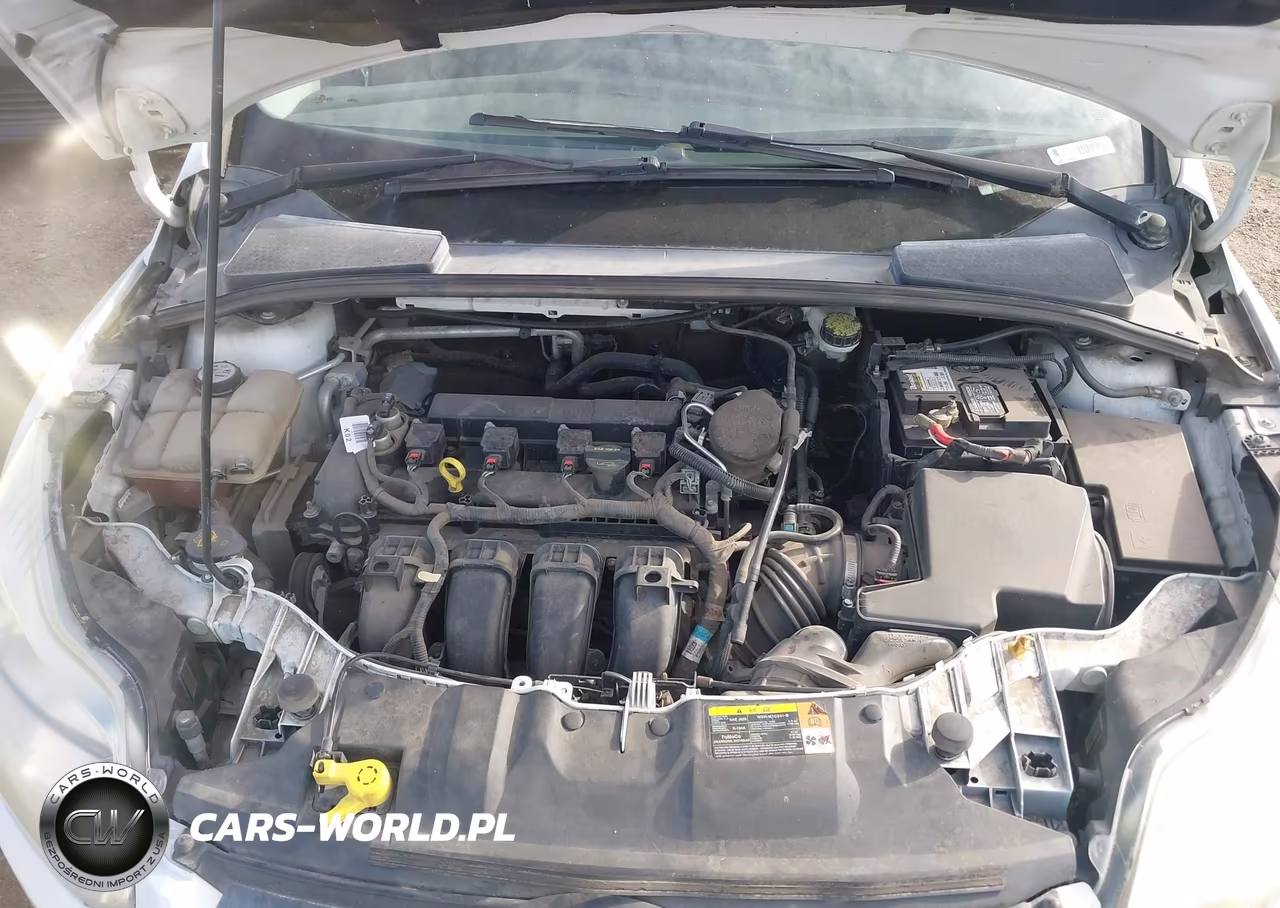 2013 Ford Focus Se VIN:1FADP3F27DL145263 - 10