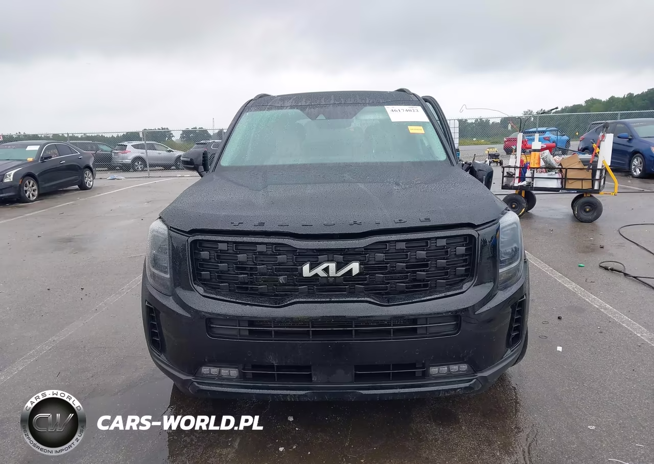 2022 Kia Telluride Sx VIN:5XYP5DHC6NG240483 - 12