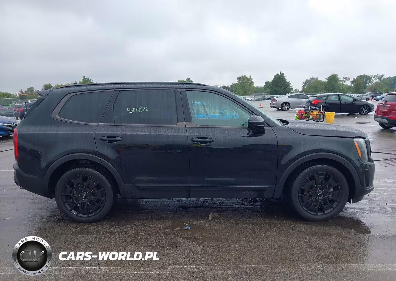 2022 Kia Telluride Sx VIN:5XYP5DHC6NG240483 - 13