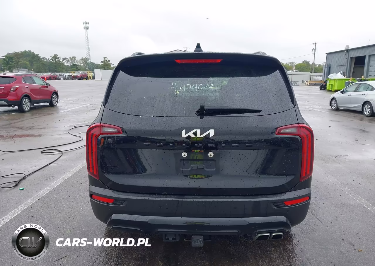 2022 Kia Telluride Sx VIN:5XYP5DHC6NG240483 - 16