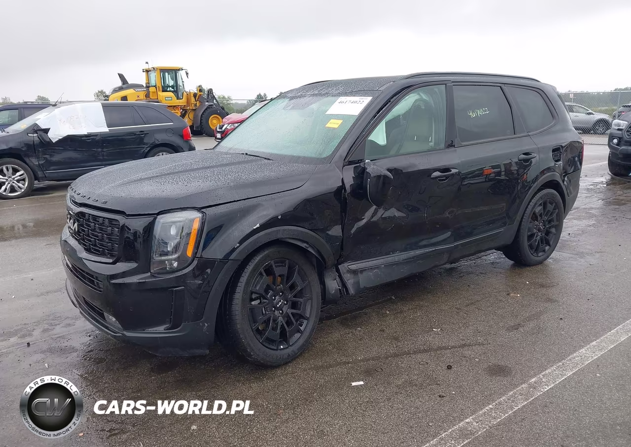 2022 Kia Telluride Sx VIN:5XYP5DHC6NG240483 - 2