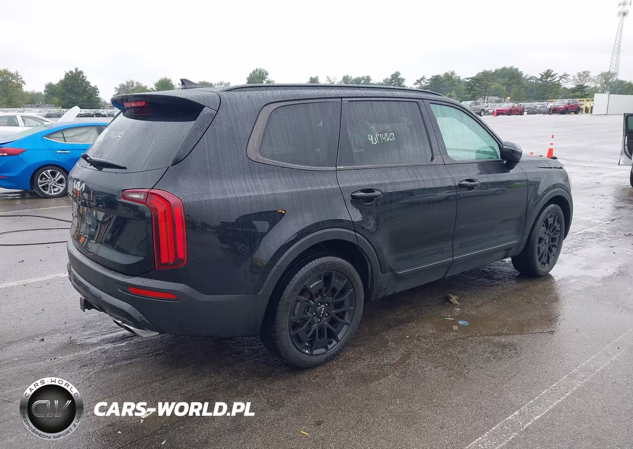 2022 Kia Telluride Sx VIN:5XYP5DHC6NG240483 - 4