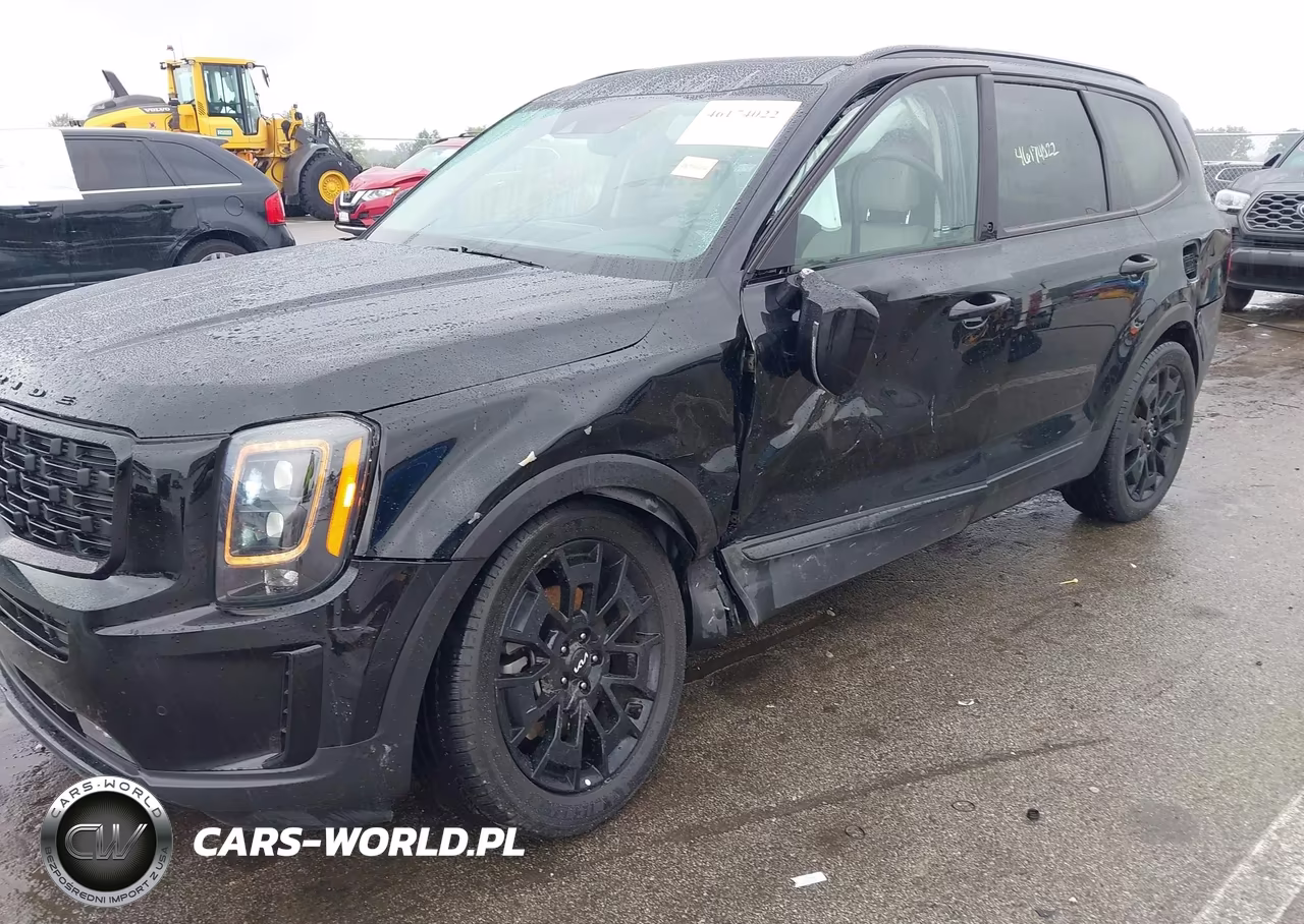 2022 Kia Telluride Sx VIN:5XYP5DHC6NG240483 - 6