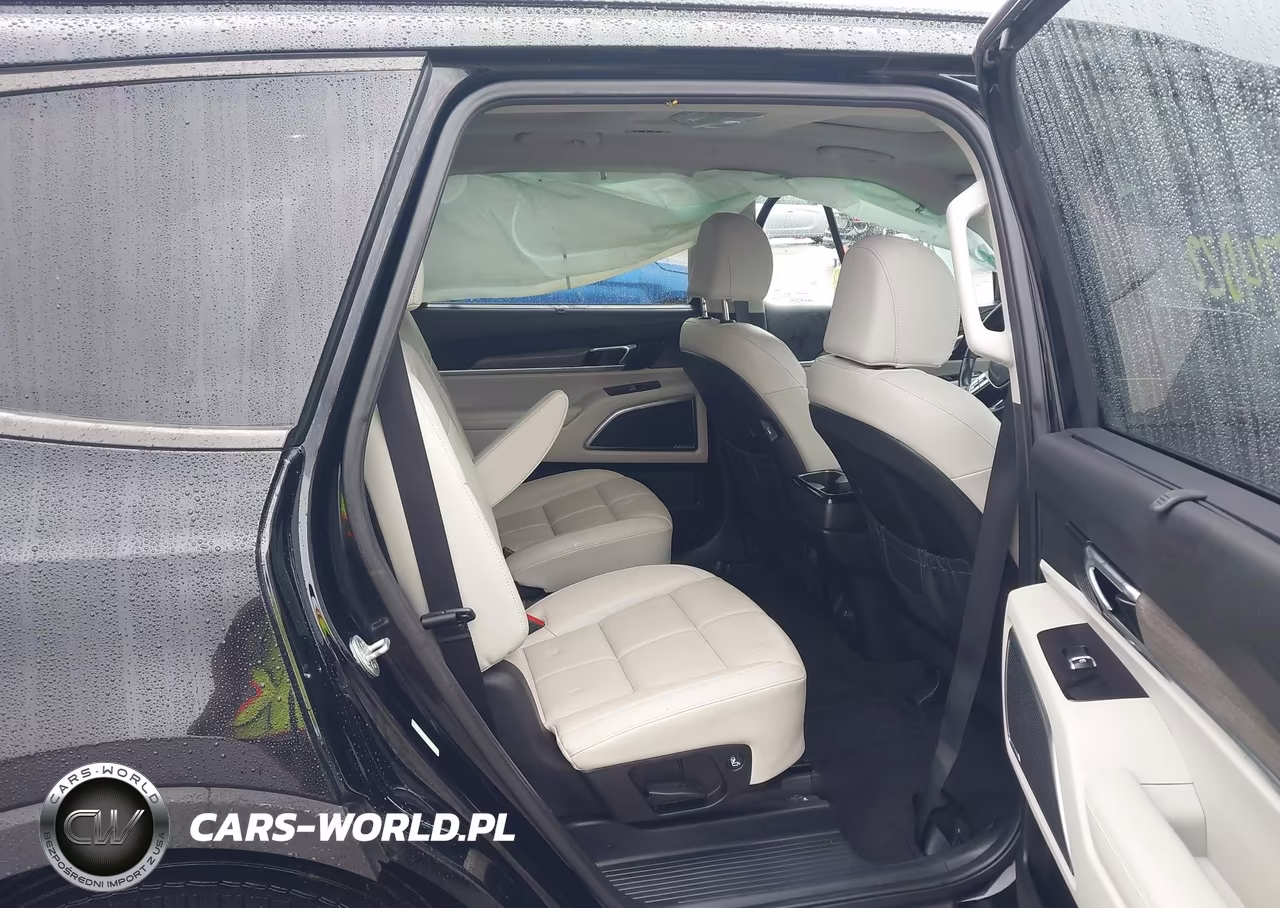 2022 Kia Telluride Sx VIN:5XYP5DHC6NG240483 - 8