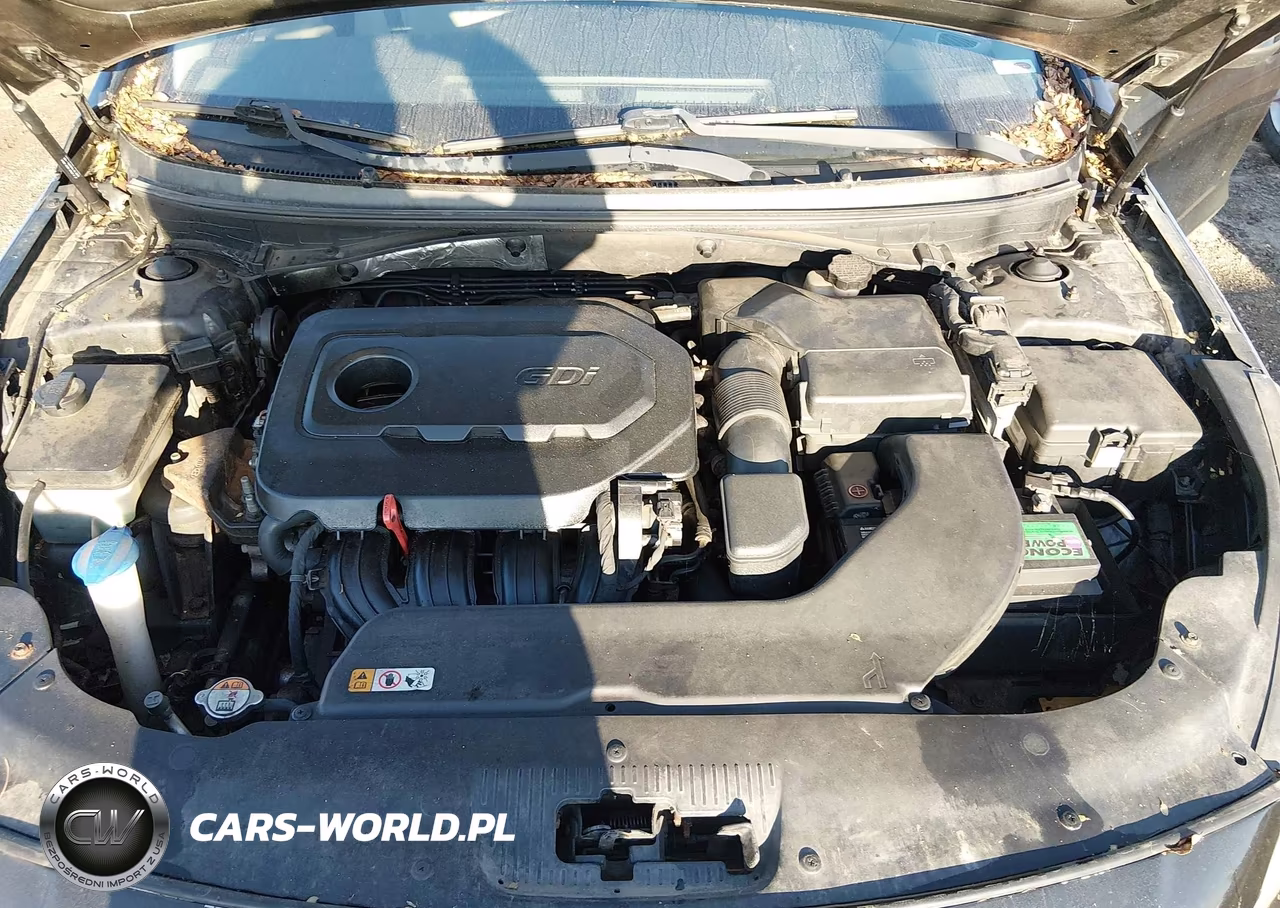 2015 Hyundai Sonata Se VIN:5NPE24AF2FH155039 - 10