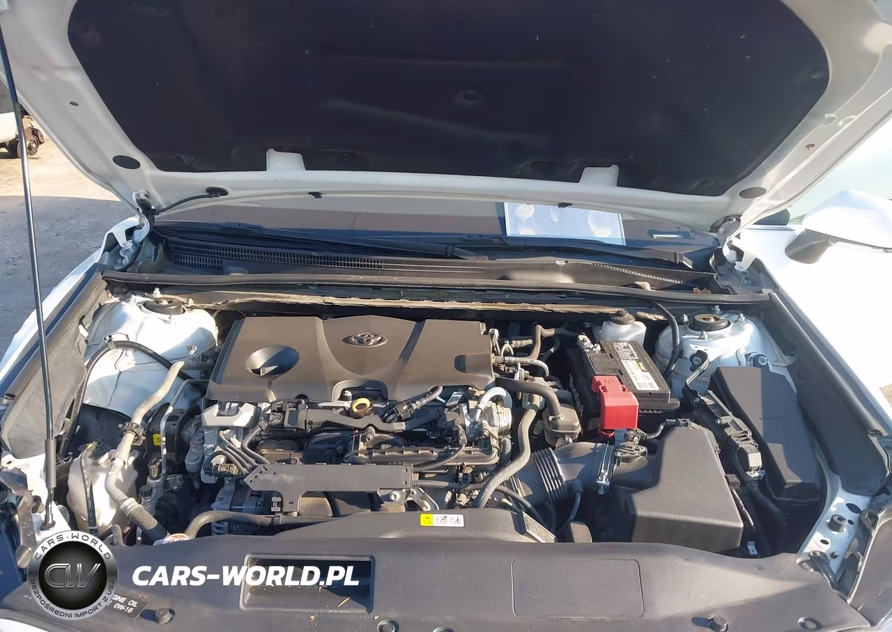 2023 Toyota Camry Le VIN:4T1R11AK0PU100091 - 10