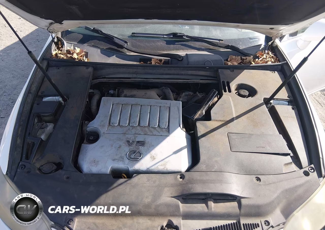 2009 Lexus Es 350 VIN:JTHBJ46G192314080 - 10