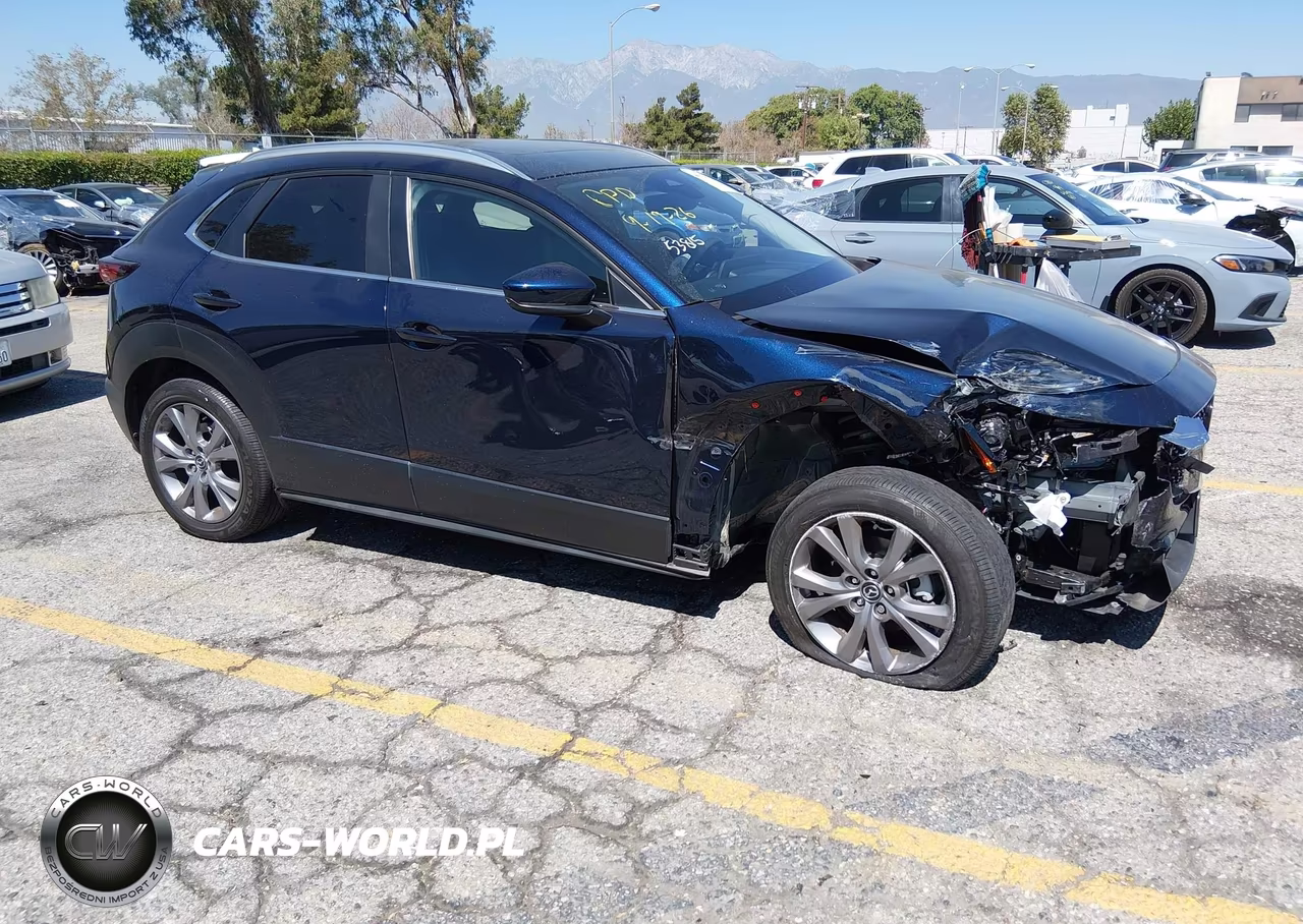 2024 Mazda Cx-30 2.5 S Preferred Package VIN:3MVDMBCM8RM664510 - 13