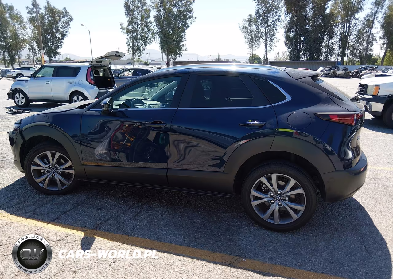 2024 Mazda Cx-30 2.5 S Preferred Package VIN:3MVDMBCM8RM664510 - 14