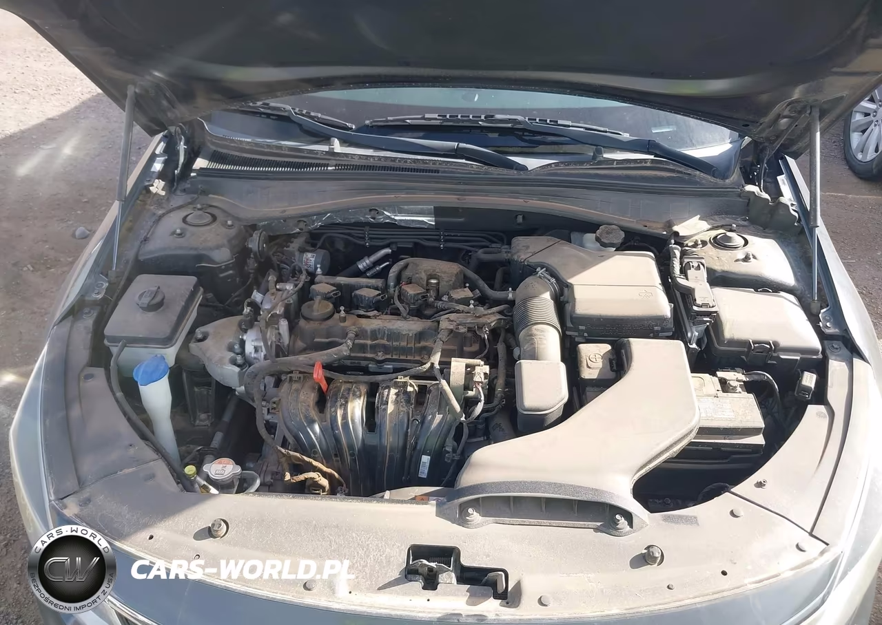 2016 Kia Optima Lx VIN:5XXGT4L33GG060561 - 10