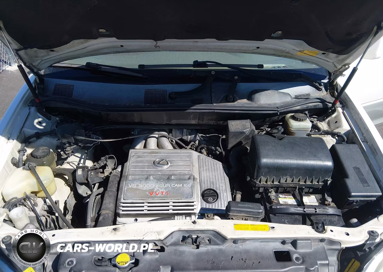2002 Lexus Rx 300 VIN:JTJGF10U320130831 - 10
