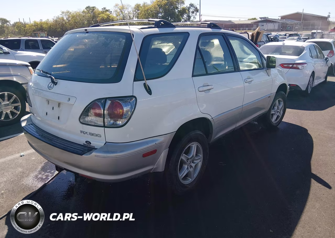 2002 Lexus Rx 300 VIN:JTJGF10U320130831 - 4