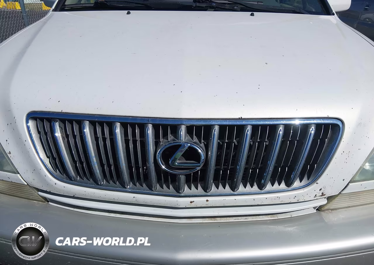 2002 Lexus Rx 300 VIN:JTJGF10U320130831 - 6