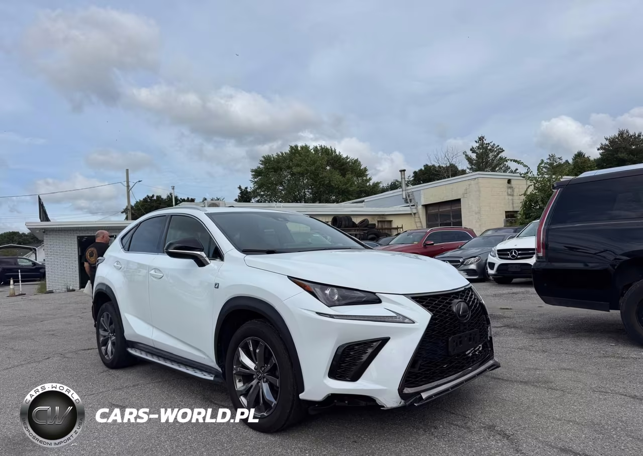 2020 Lexus Nx 300 F Sport