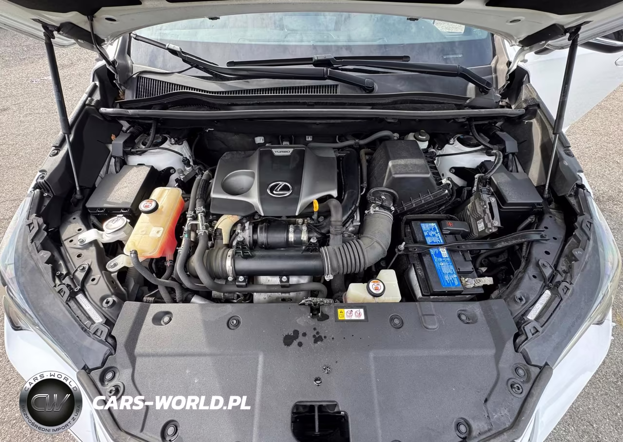 2020 Lexus Nx 300 F Sport VIN:JTJJARBZ1L5009439 - 10