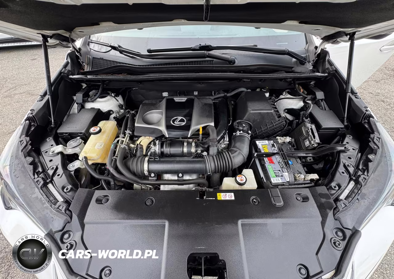 2020 Lexus Nx 300 VIN:JTJGARBZ5L2167925 - 10
