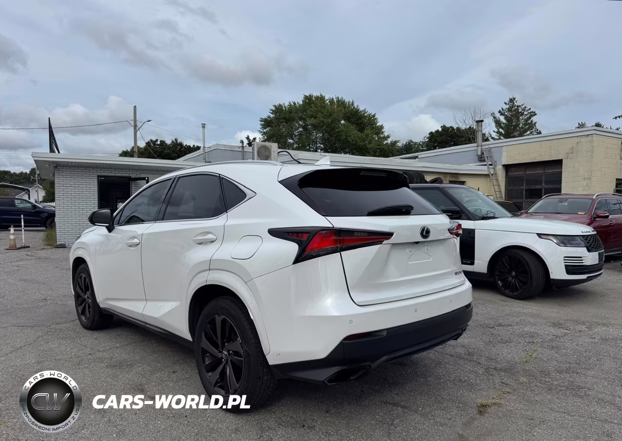 2020 Lexus Nx 300 VIN:JTJGARBZ5L2167925 - 3