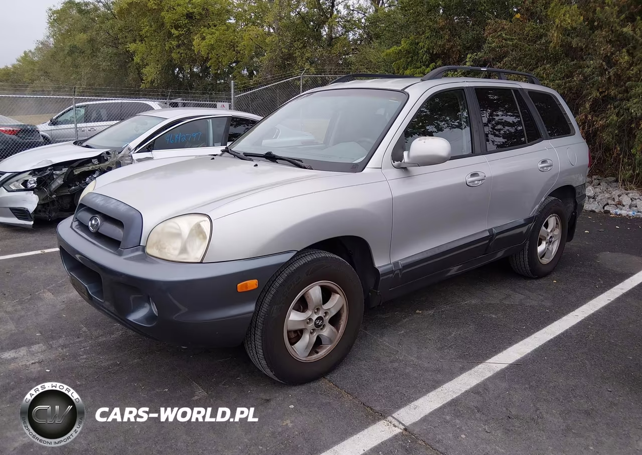 2006 Hyundai Santa Fe Gls VIN:KM8SC13D86U079628 - 2