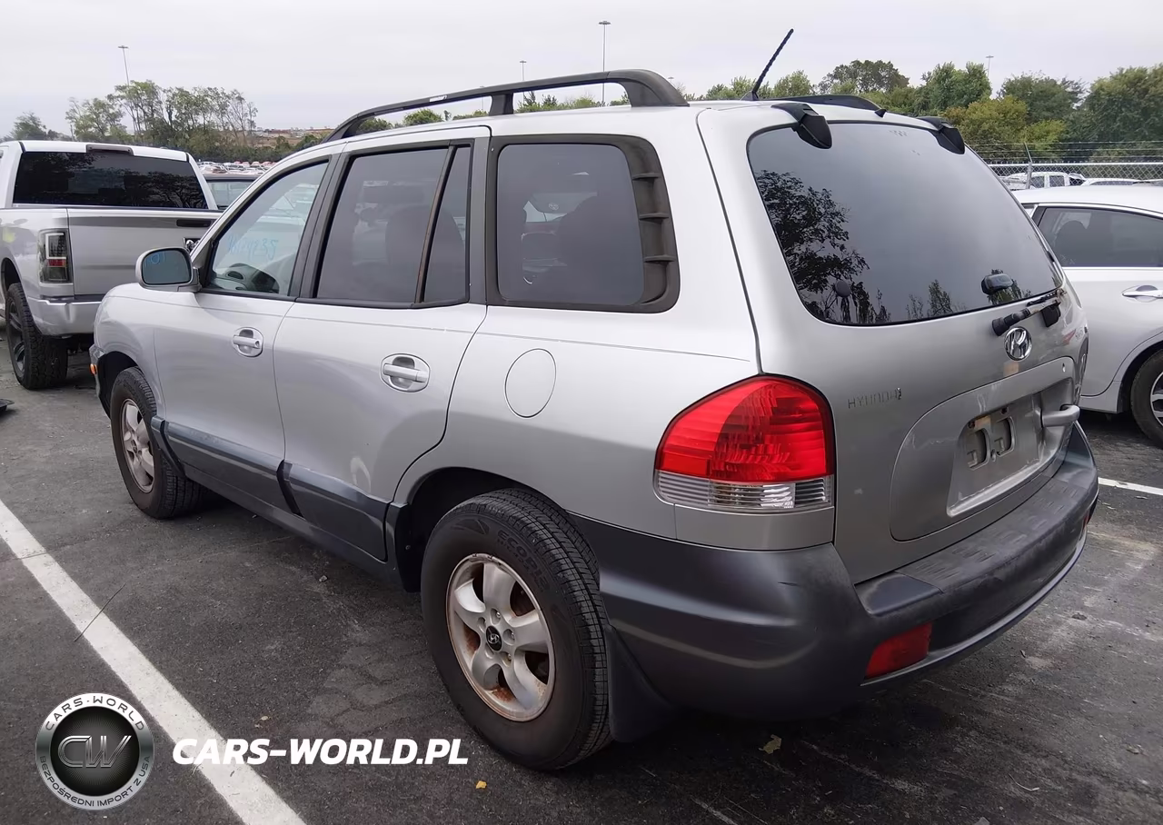 2006 Hyundai Santa Fe Gls VIN:KM8SC13D86U079628 - 3