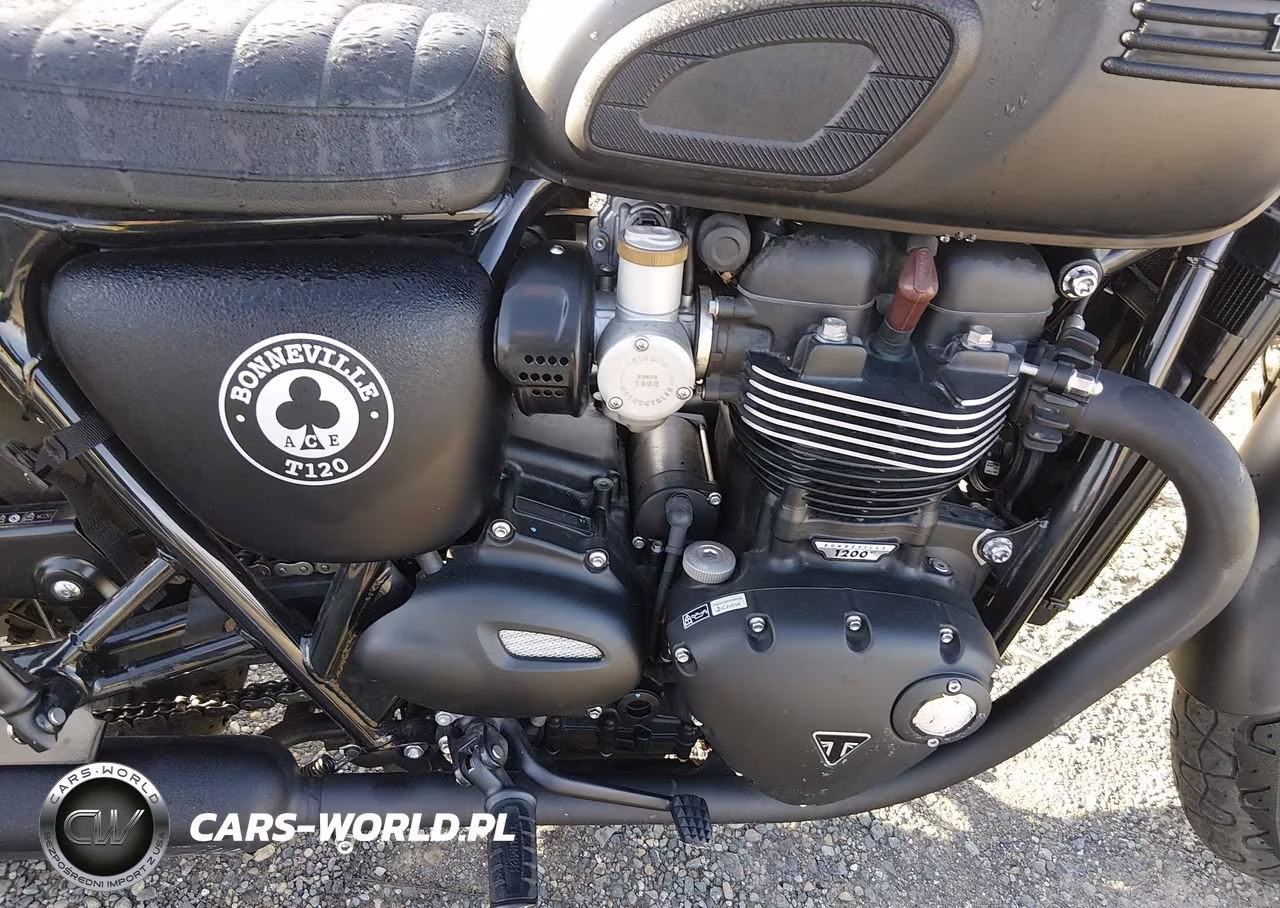 2020 Triumph Motorcycle Bonneville T120-Black-Bud Ekins VIN:SMTD40HL1LT958959 - 8