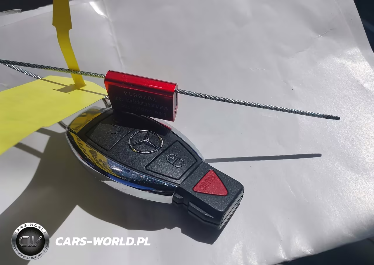 2015 Mercedes-Benz B-Class Electric Drive VIN:WDDVP9AB9FJ005521 - 11
