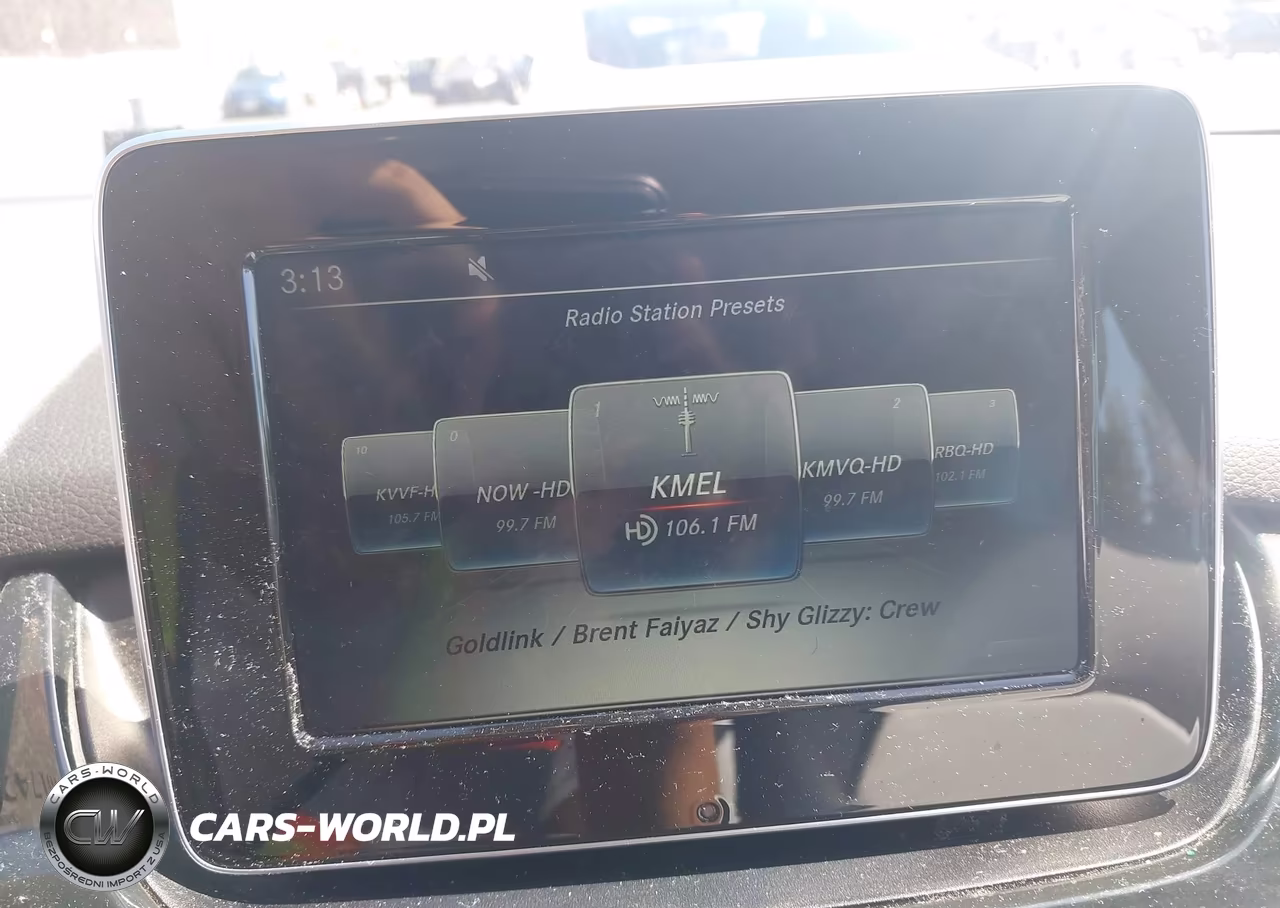 2015 Mercedes-Benz B-Class Electric Drive VIN:WDDVP9AB9FJ005521 - 14