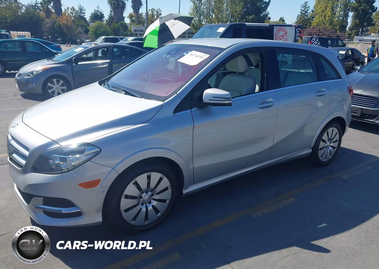 2015 Mercedes-Benz B-Class Electric Drive VIN:WDDVP9AB9FJ005521 - 2