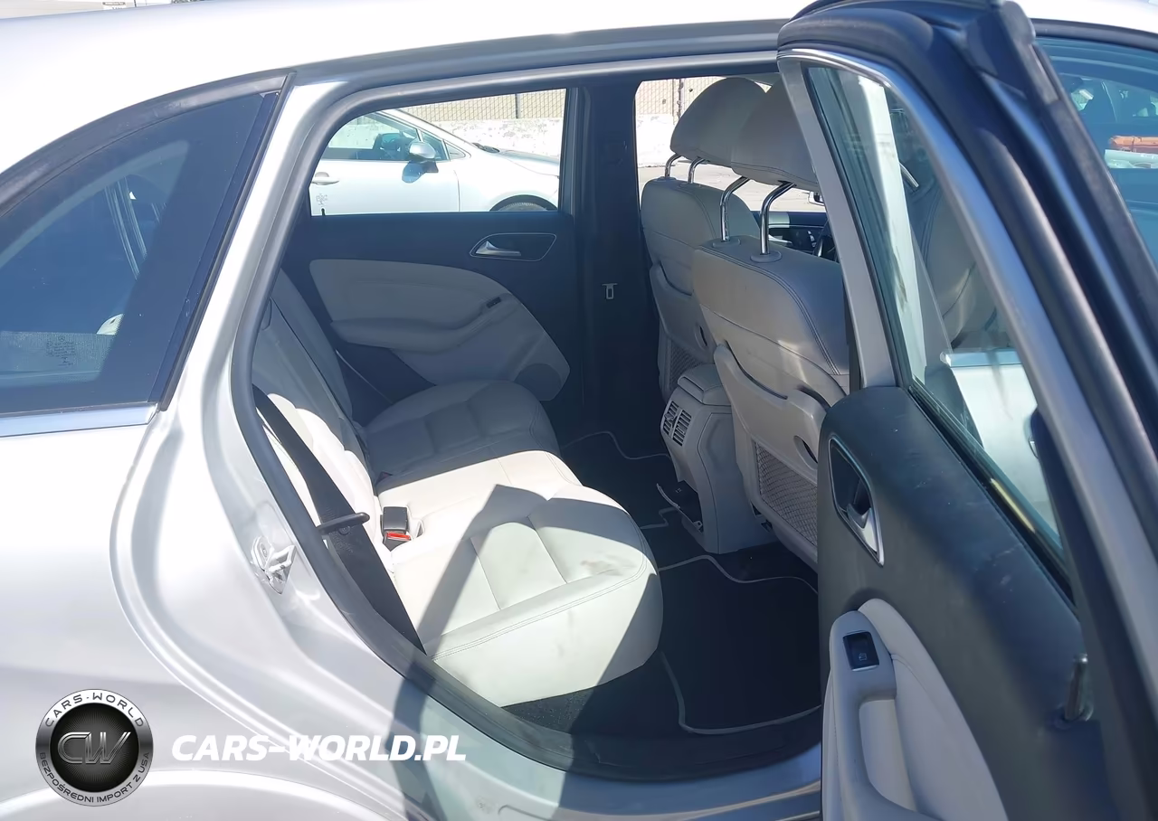 2015 Mercedes-Benz B-Class Electric Drive VIN:WDDVP9AB9FJ005521 - 8