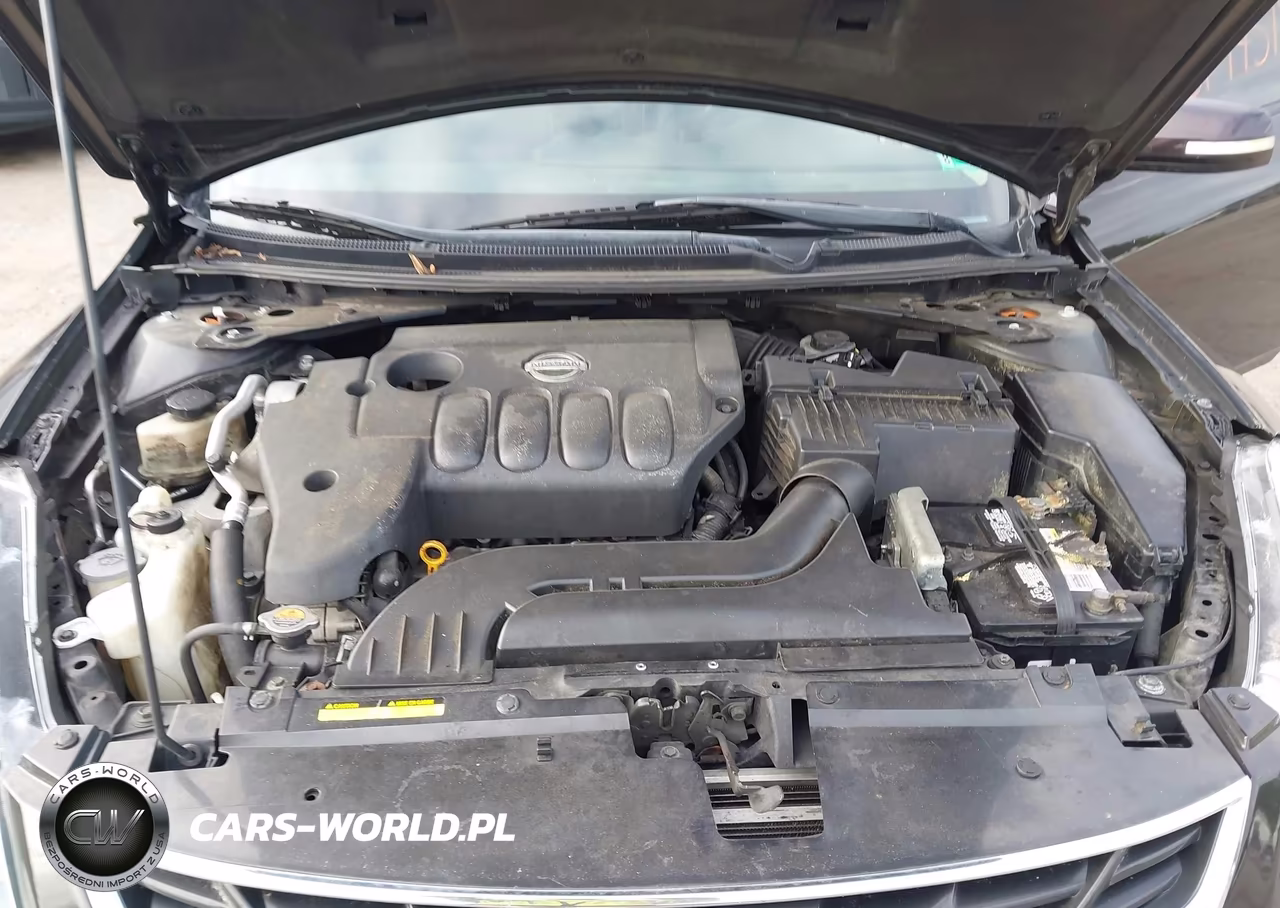 2010 Nissan Altima 2.5 S VIN:1N4AL2EP0AC150516 - 10