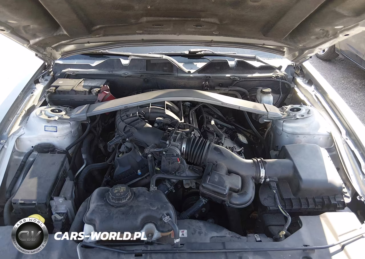 2013 Ford Mustang V6 Premium VIN:1ZVBP8EM7D5229425 - 10