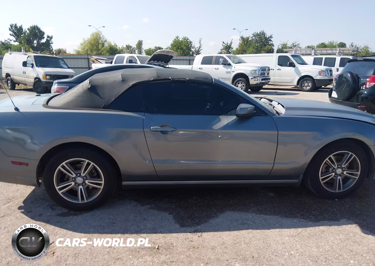 2013 Ford Mustang V6 Premium VIN:1ZVBP8EM7D5229425 - 13