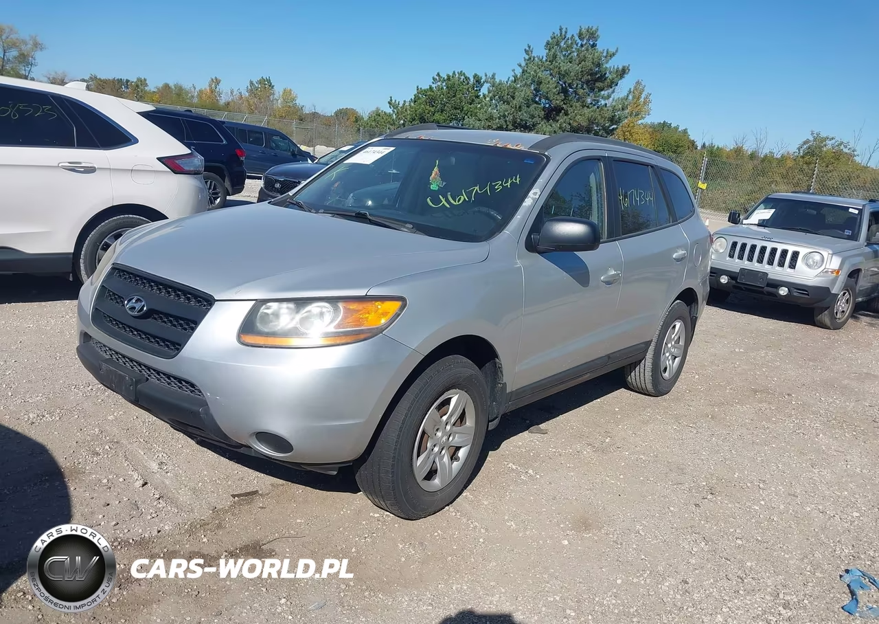 2009 Hyundai Santa Fe Gls VIN:5NMSG13D59H245849 - 2