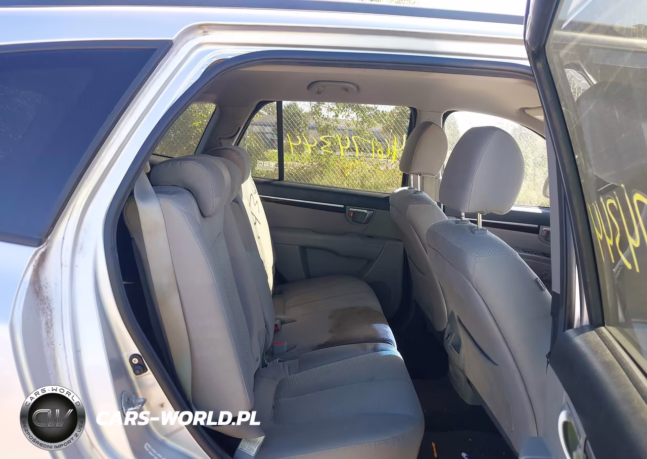 2009 Hyundai Santa Fe Gls VIN:5NMSG13D59H245849 - 8
