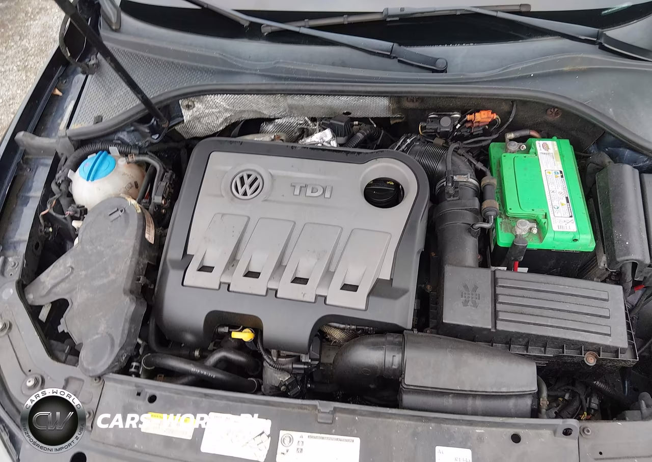 2014 Volkswagen Passat 2.0L Tdi Sel Premium VIN:1VWCN7A34EC017676 - 10