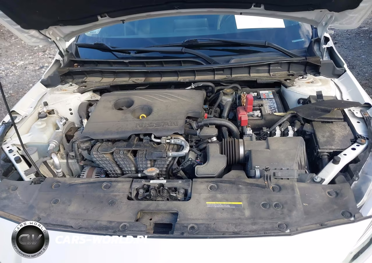 2019 Nissan Altima 2.5 Platinum VIN:1N4BL4FV7KC113865 - 10