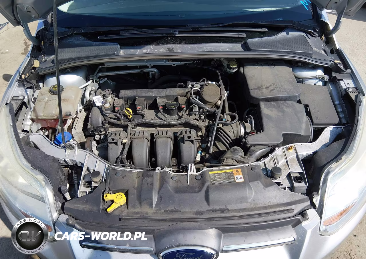 2014 Ford Focus Se VIN:1FADP3F2XEL261977 - 10
