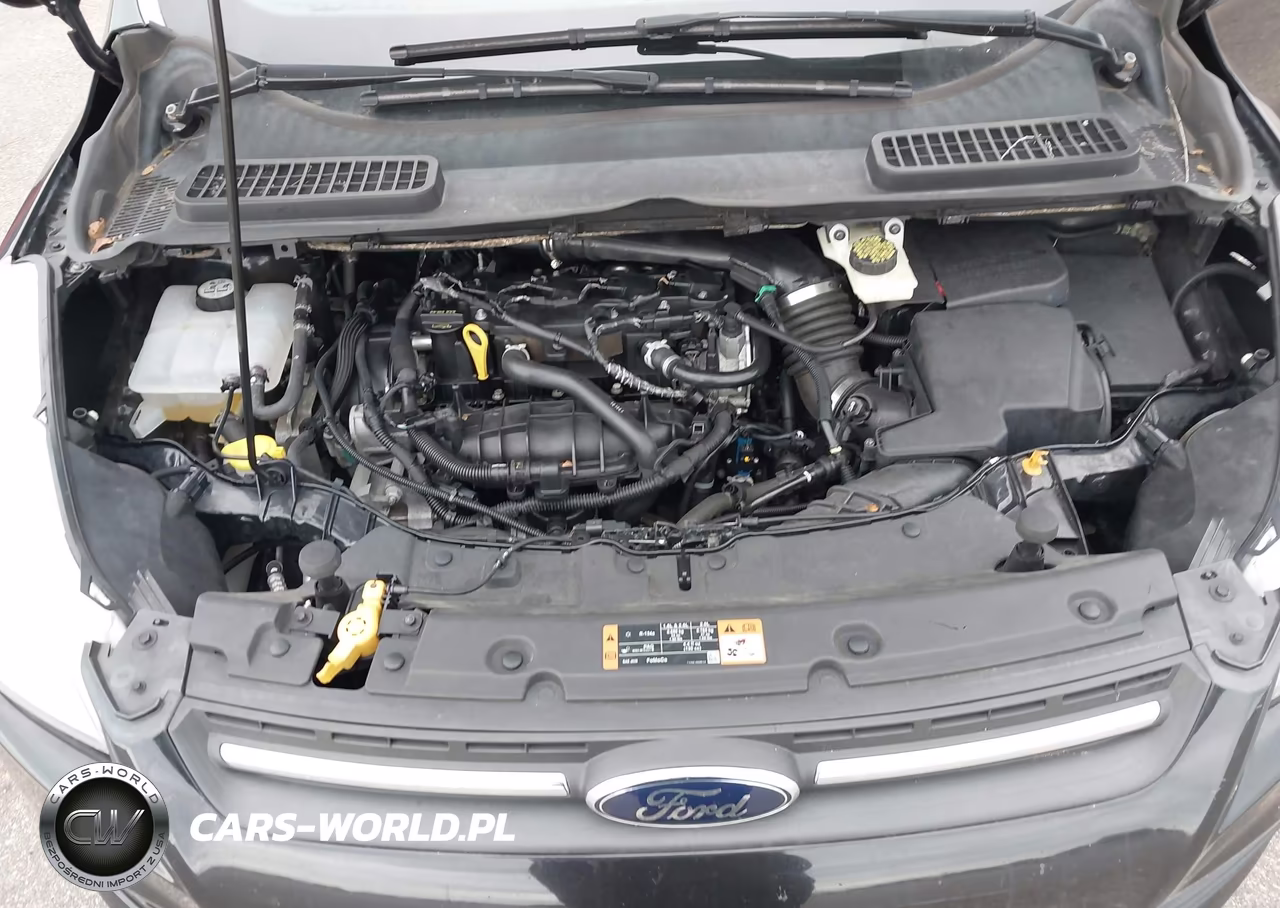 2014 Ford Escape Se VIN:1FMCU9GX2EUC30367 - 10