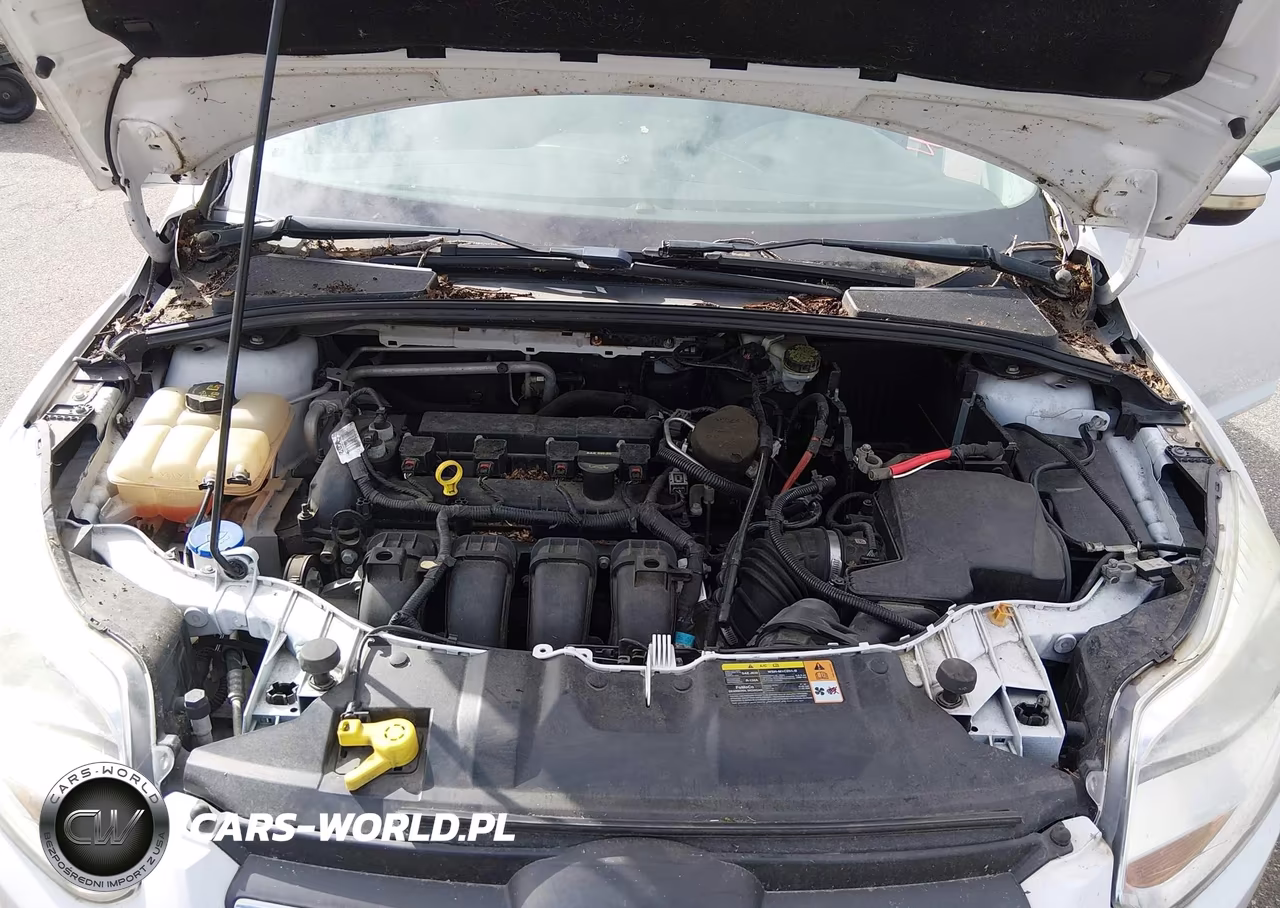 2013 Ford Focus Se VIN:1FADP3F24DL381952 - 10
