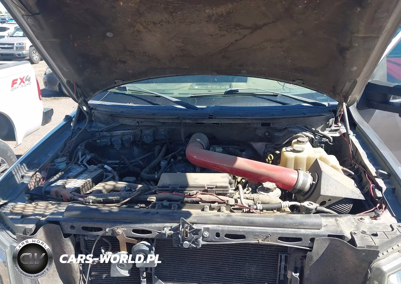 2010 Ford F-150 Fx4-Harley-Davidson-King Ranch-Lariat-Platinum-Xl-Xlt VIN:1FTFW1EV2AFC86130 - 10