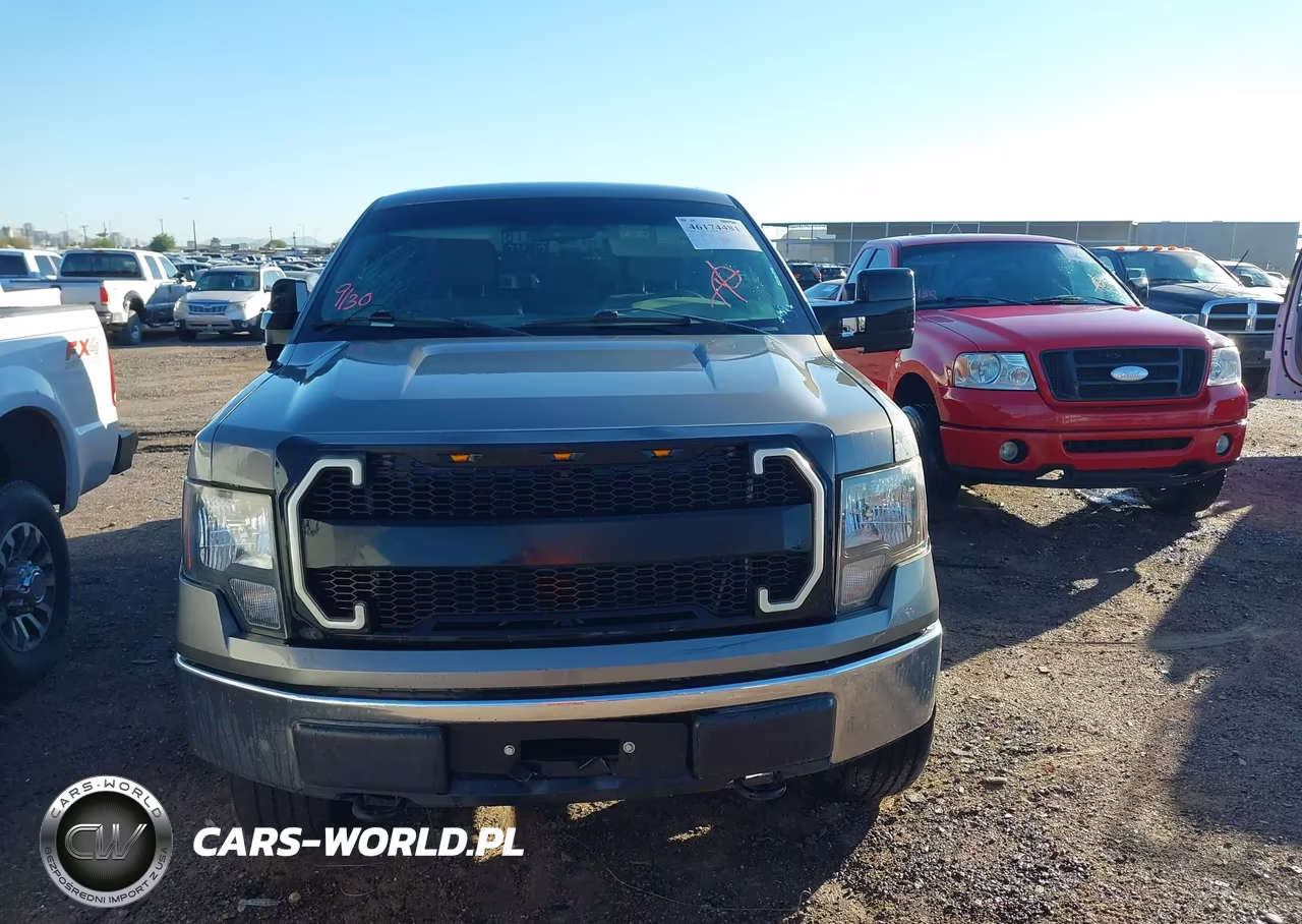 2010 Ford F-150 Fx4-Harley-Davidson-King Ranch-Lariat-Platinum-Xl-Xlt VIN:1FTFW1EV2AFC86130 - 12