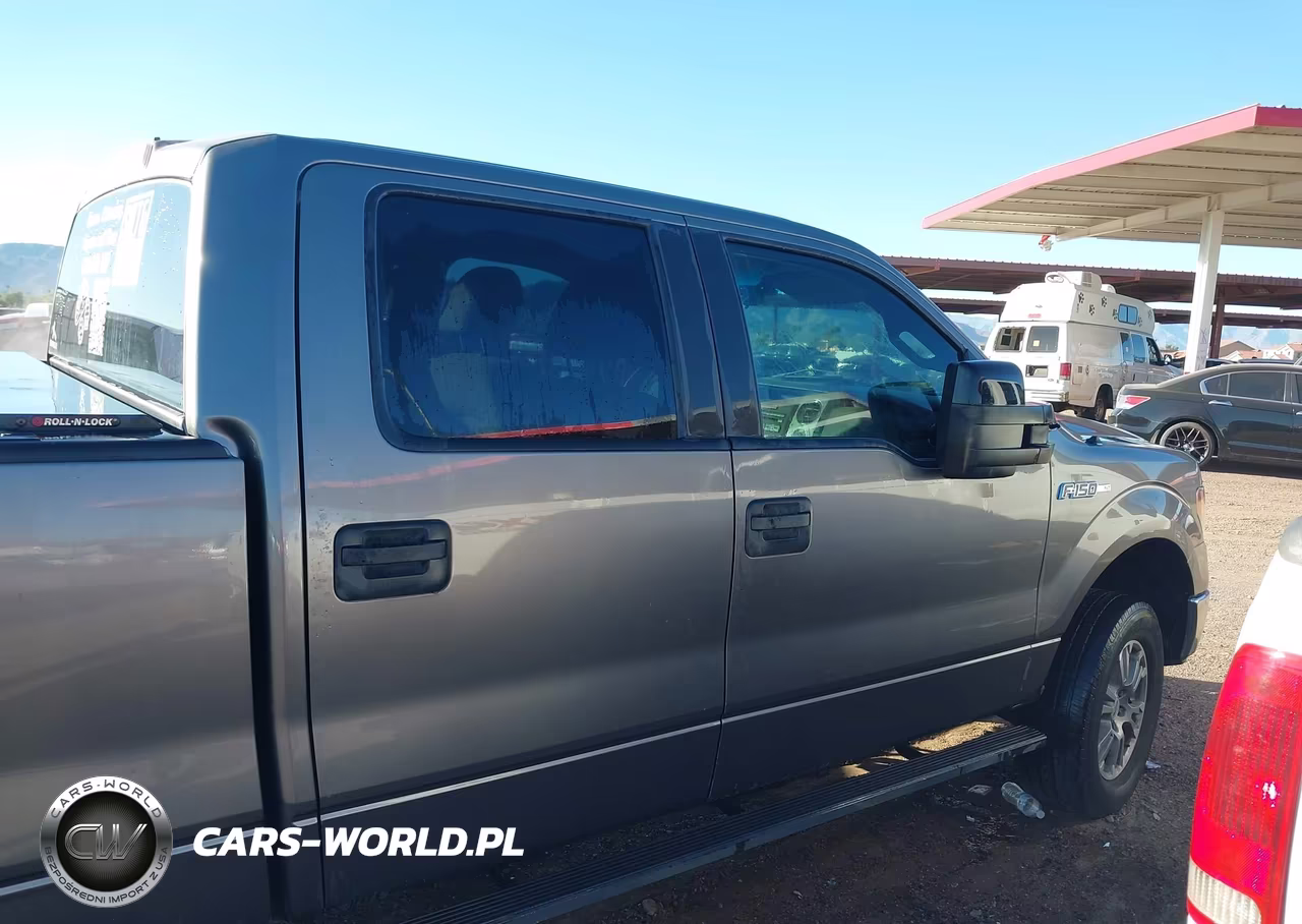 2010 Ford F-150 Fx4-Harley-Davidson-King Ranch-Lariat-Platinum-Xl-Xlt VIN:1FTFW1EV2AFC86130 - 13