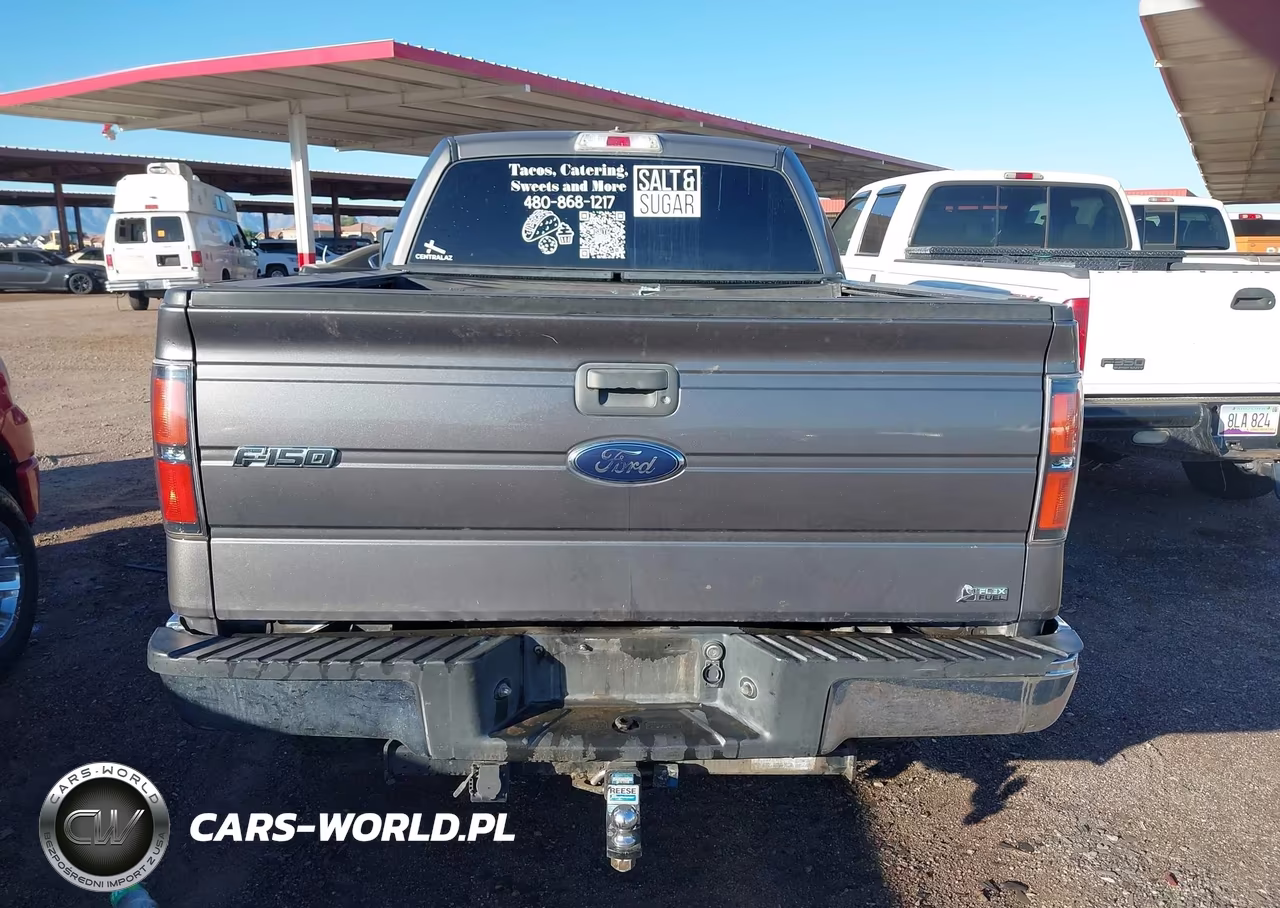 2010 Ford F-150 Fx4-Harley-Davidson-King Ranch-Lariat-Platinum-Xl-Xlt VIN:1FTFW1EV2AFC86130 - 16