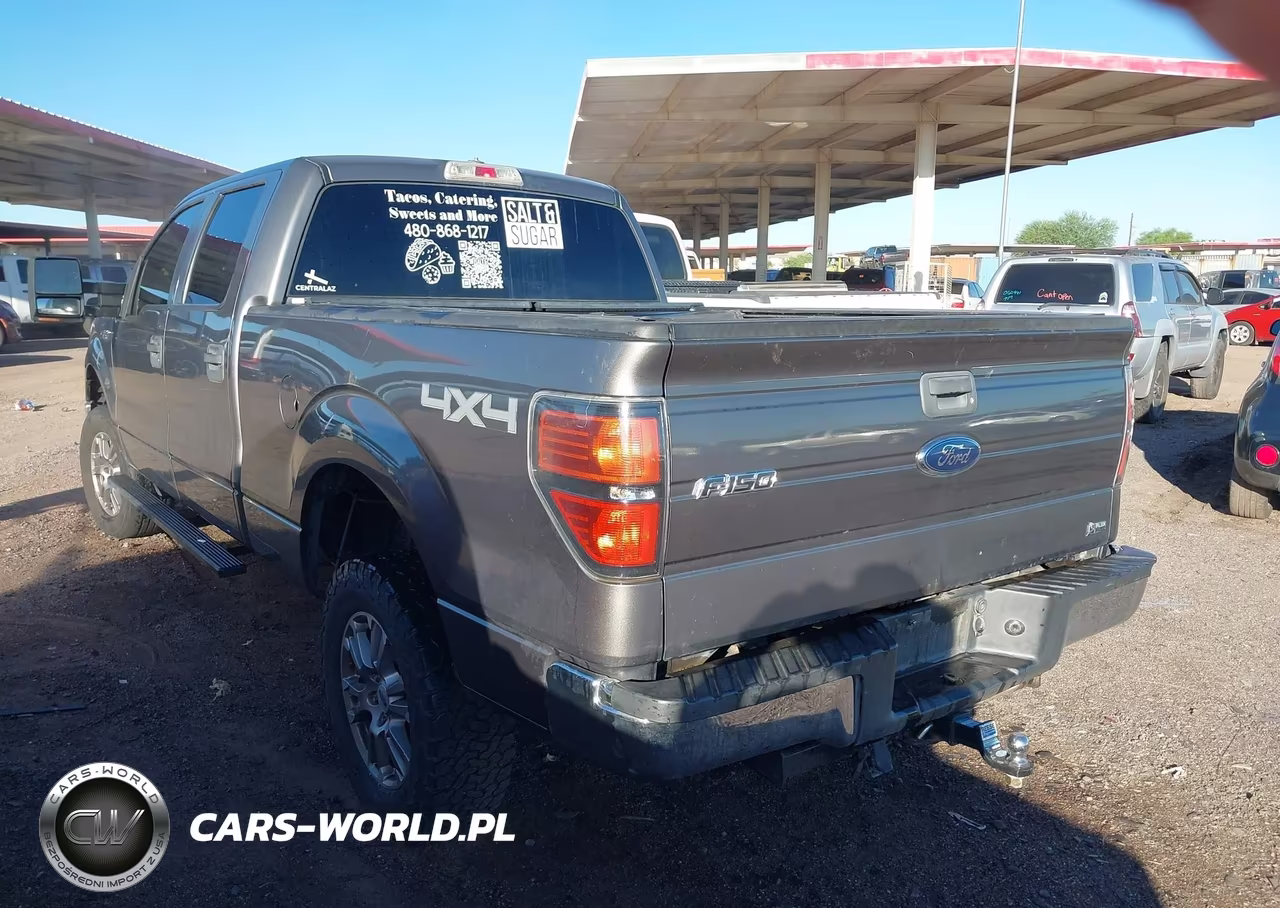 2010 Ford F-150 Fx4-Harley-Davidson-King Ranch-Lariat-Platinum-Xl-Xlt VIN:1FTFW1EV2AFC86130 - 3
