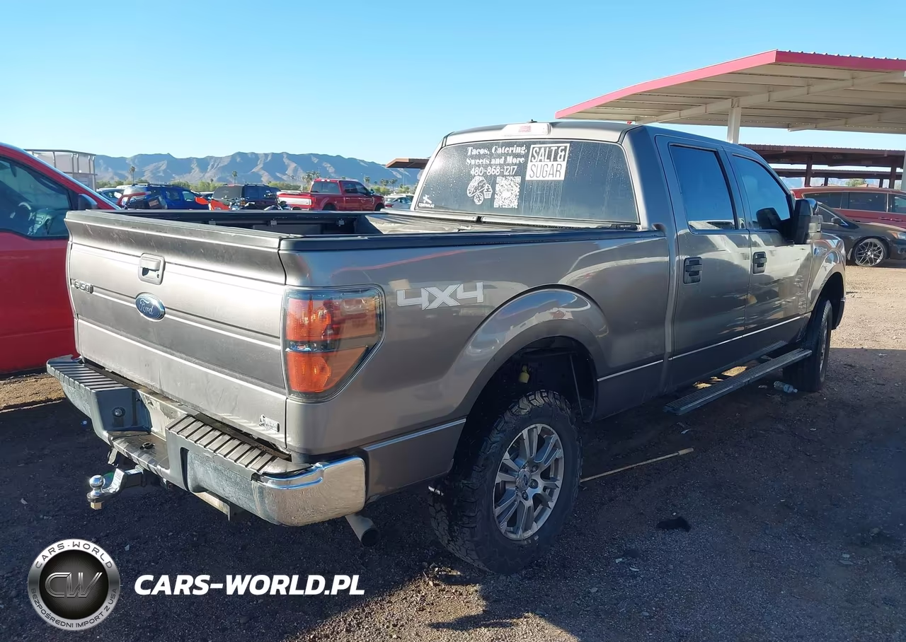 2010 Ford F-150 Fx4-Harley-Davidson-King Ranch-Lariat-Platinum-Xl-Xlt VIN:1FTFW1EV2AFC86130 - 4