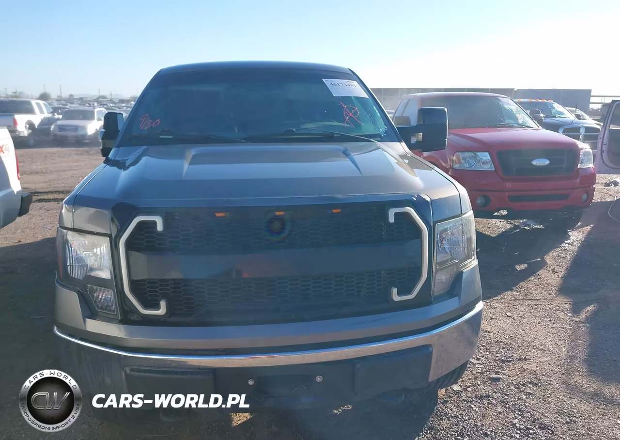 2010 Ford F-150 Fx4-Harley-Davidson-King Ranch-Lariat-Platinum-Xl-Xlt VIN:1FTFW1EV2AFC86130 - 6