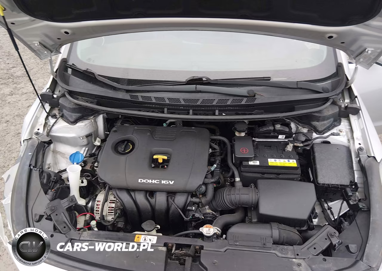 2017 Kia Forte Lx VIN:3KPFK4A75HE076176 - 10