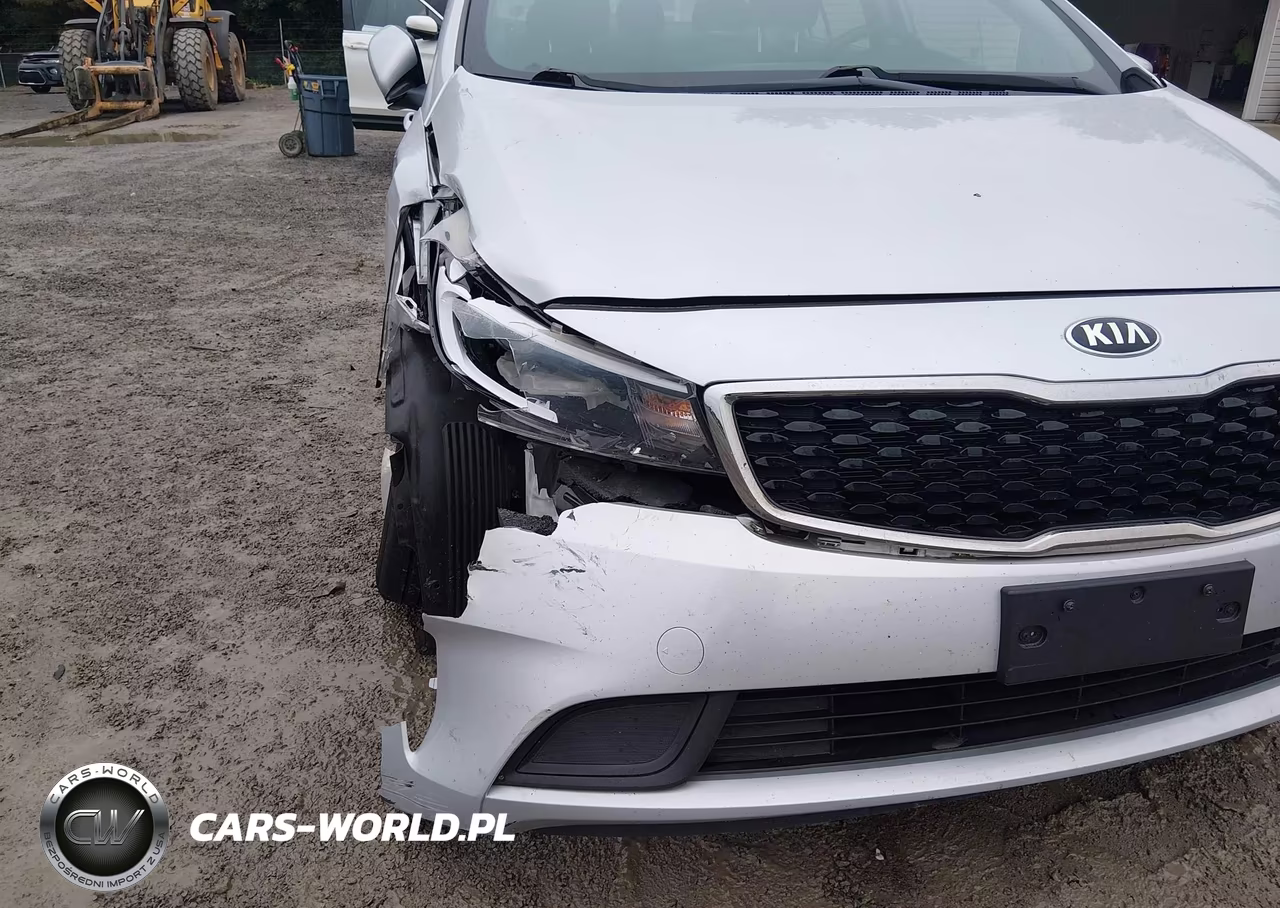 2017 Kia Forte Lx VIN:3KPFK4A75HE076176 - 17