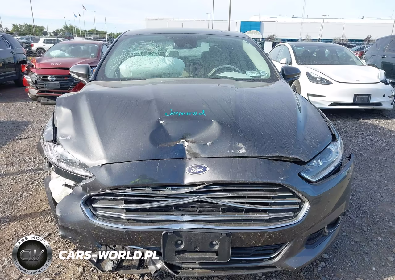 2016 Ford Fusion Hybrid Titanium VIN:3FA6P0RU4GR325200 - 12