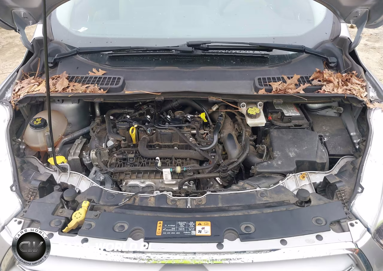 2019 Ford Escape Se VIN:1FMCU0GD5KUA25722 - 10