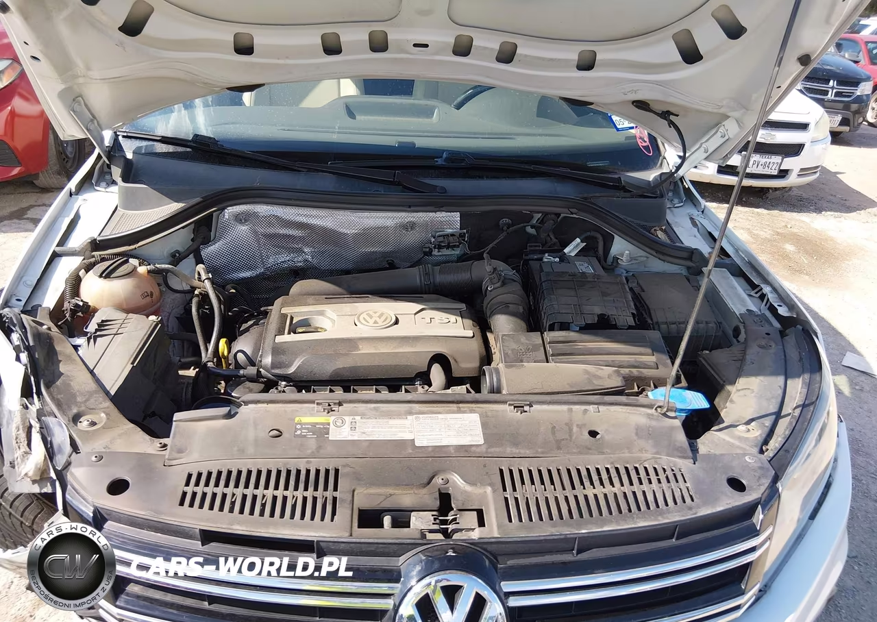 2016 Volkswagen Tiguan R-Line-S-Se-Sel VIN:WVGAV7AX8GW562127 - 10